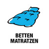 Icon Bettfedernreinigung